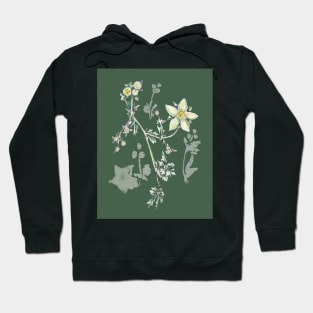 Wild herbs Hoodie